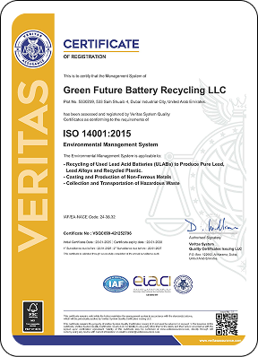 Green Future Certificate 5